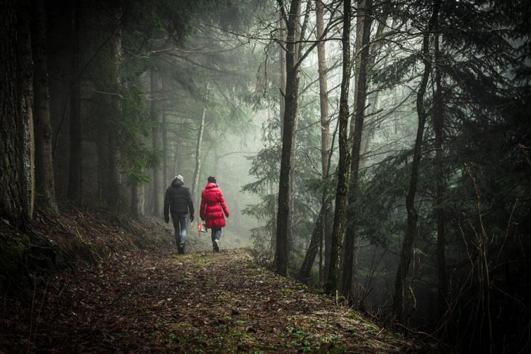 Az Erdők Világnapja van