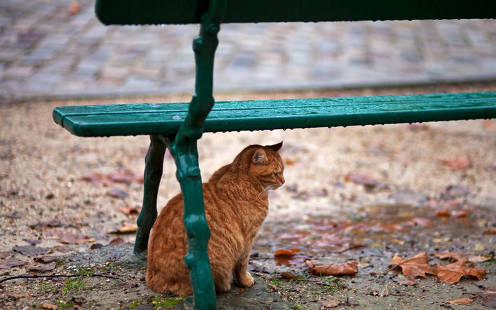 Ne maradjon otthon esőkabát, esernyő – egész nap eshet