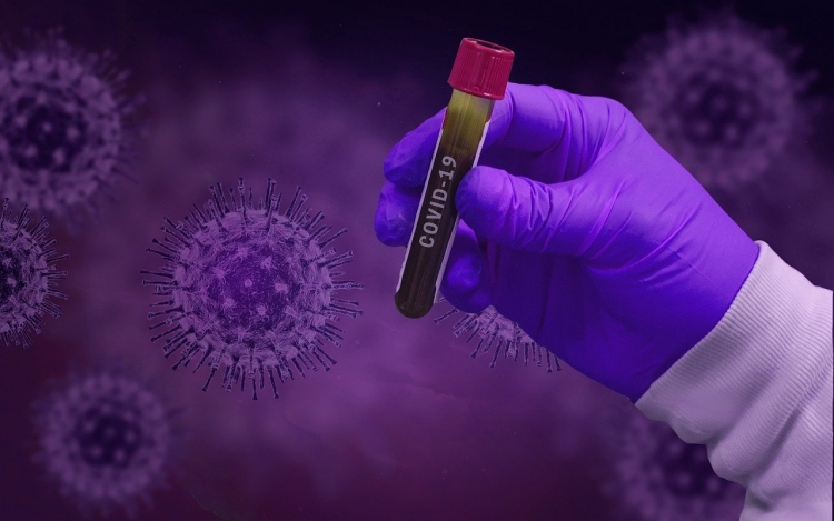 Év végére elkészülhet a koronavírus elleni oltás
