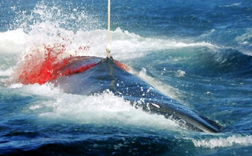 Minden idők legrosszabb bálnavadászati szezonját zárta Japán
