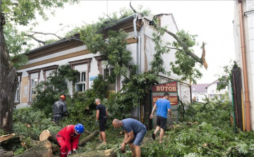 Országszerte tombolt a szél, Nógrádban fa dőlt egy iskolára