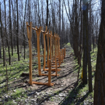 Elkezdődtek a Pálos Kálvária beruházási munkálatai