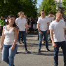 A Zöld nap évről-évre a legnagyobb buli