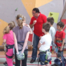 Magyar Hegy- és Sportmászó Szövetség Falmászó Versenyének Bajnoki Fordulója