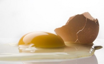A tojásfehérje segíthet a vérnyomás csökkentésében