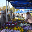 Őszi virágvásárt tartottak a városközpontban
