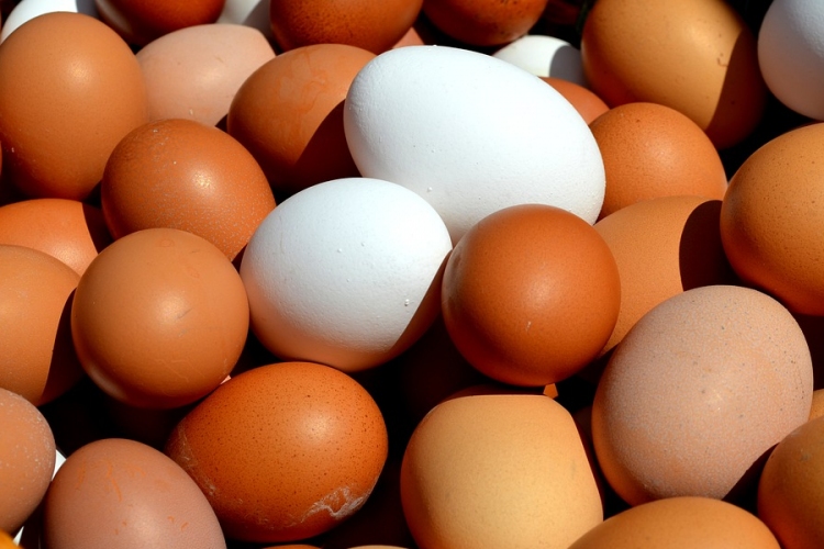 Ismét az olcsó import nyomja le a tojásárakat