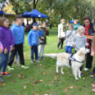 Autó nélkül is szép az élet