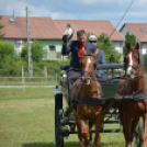 Fogathajtó versenyt rendeztek a Vasas Pályán