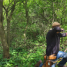 Koppányok áprilisa a hagyomány, a kultúra és a sport körül