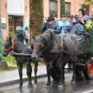 Nem számított az eső sem a szüreti felvonulóknak