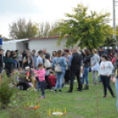 Családi délutánt rendeztek a Gyepmesteri Telepen