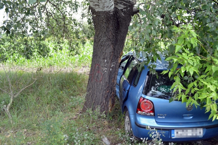 Árokban sodródott és fának csapódott egy autó