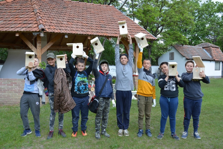 Természetvédelmi tábort szervezett a Natura Hungarica Alapítvány