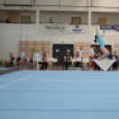 Lélegzetelállító tornász mutatványok a KÉSZ Arénában