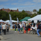 Negyvenegy csapat nevezett a libafőzőversenyre