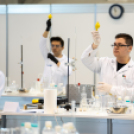 Szakma Sztár Fesztivál – Kimagasló Bács-Kiskun vármegyei eredmények születtek