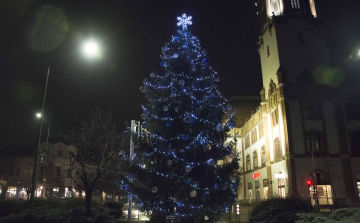 Keresünk fenyőt a város karácsonyfájához