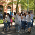 A Zöld nap évről-évre a legnagyobb buli