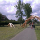 A „mi tengerünk” két kerékről nézve