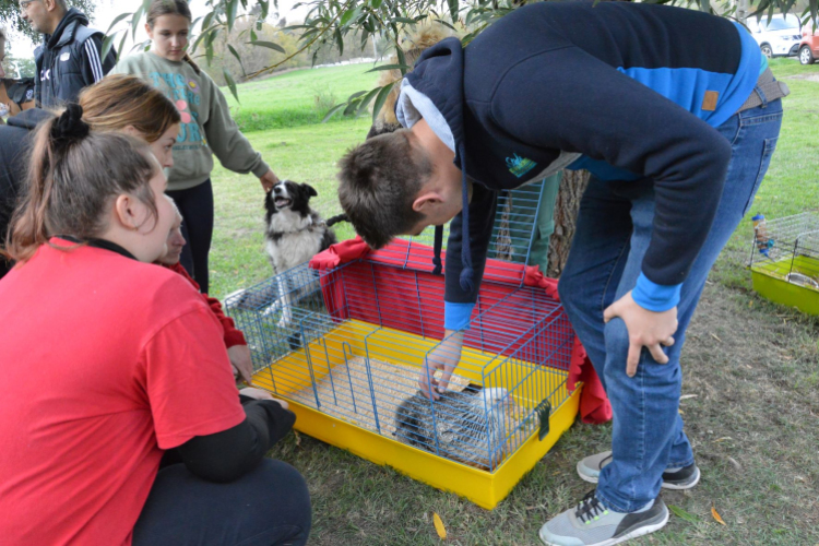 Családi délutánt rendeztek a Gyepmesteri Telepen
