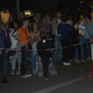 Varázskert nyílt a lombok árnyékában