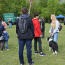 Majális a parkerdőben