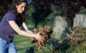 Ingyenesen elvihető komposzt anyag