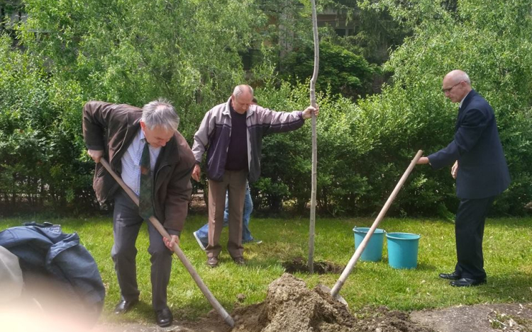 Fát ültetett a Béke Klub