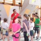 Magyar Hegy- és Sportmászó Szövetség Falmászó Versenyének Bajnoki Fordulója