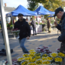 Őszi virágvásárt tartottak a városközpontban