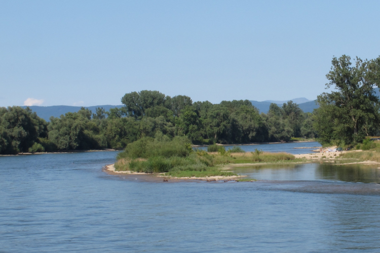 Szerdára 30 centivel emelkedhet a Duna vízszintje