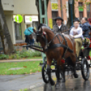 Nem számított az eső sem a szüreti felvonulóknak