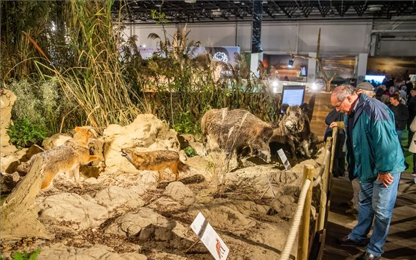 A Hungarikum Gálával véget ért a vadászati világkiállítás