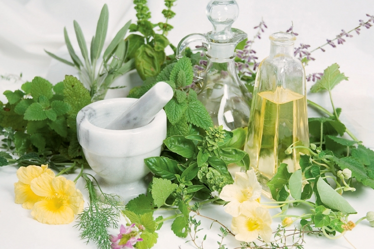 Fűben-fában orvosság….