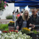 Káprázatos virágözön ékesítette Kiskunfélegyháza főterét