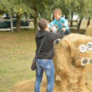 Idén is számos érdeklődőt vonzott a Mezgé piknik