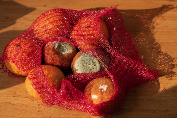 Hetente több mint egy kiló élelmet dobunk ki fejenként