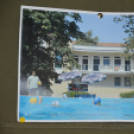 A sport megtanít mindenre