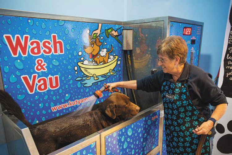 Állati kényeztetés - Virágzik a cukiipar