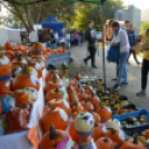 Tömegeket vonzott a Mezgé piknikje a tangazdaságba