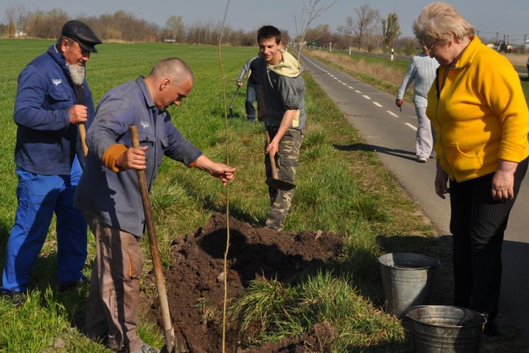 Fákat ültetnek a selymesi kerékpárút mellé