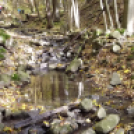 A Mátra vadregényes tájain túráztak természetjáróink