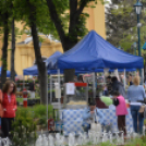 Káprázatos virágözön ékesítette Kiskunfélegyháza főterét