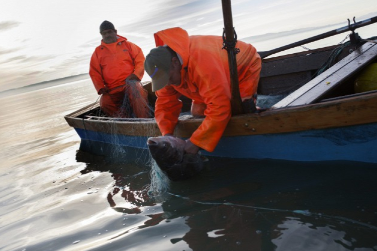 Büntetik a jó horgászokat a Balatonnál 