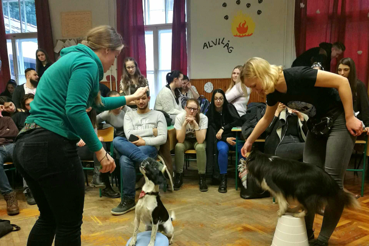 Előadást tartottak a felelősségteljes állattartásról a Közgében