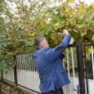 Az időseket ünnepelték Petőfiszálláson