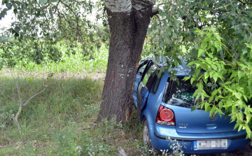 Árokban sodródott és fának csapódott egy autó