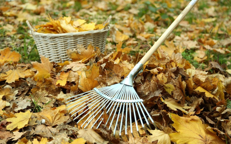 Zöldjáratok szeptemberben