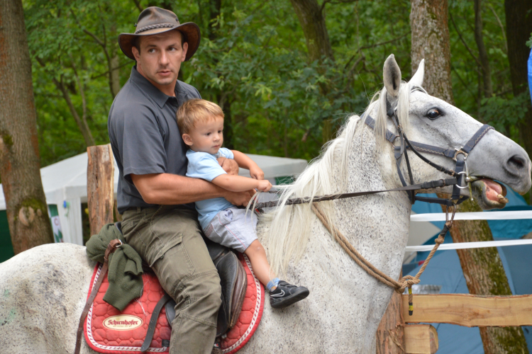 Elmarad a Nyeregszemle!